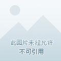 漫威崛起幽灵蜘蛛 电影