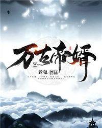 盖世帝婿叶凡免费阅读