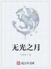无光之月txt