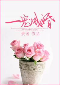 妖孽总裁别太坏免费阅读