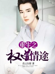 重生之权道情途2