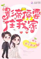 风月锦囊原著